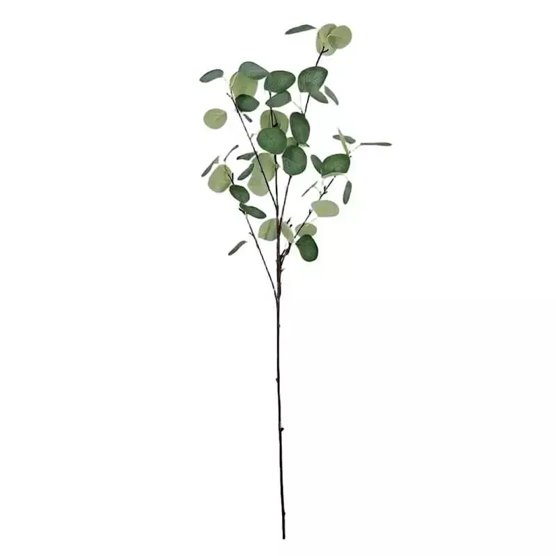 Eucalyptus Stem, 35"
