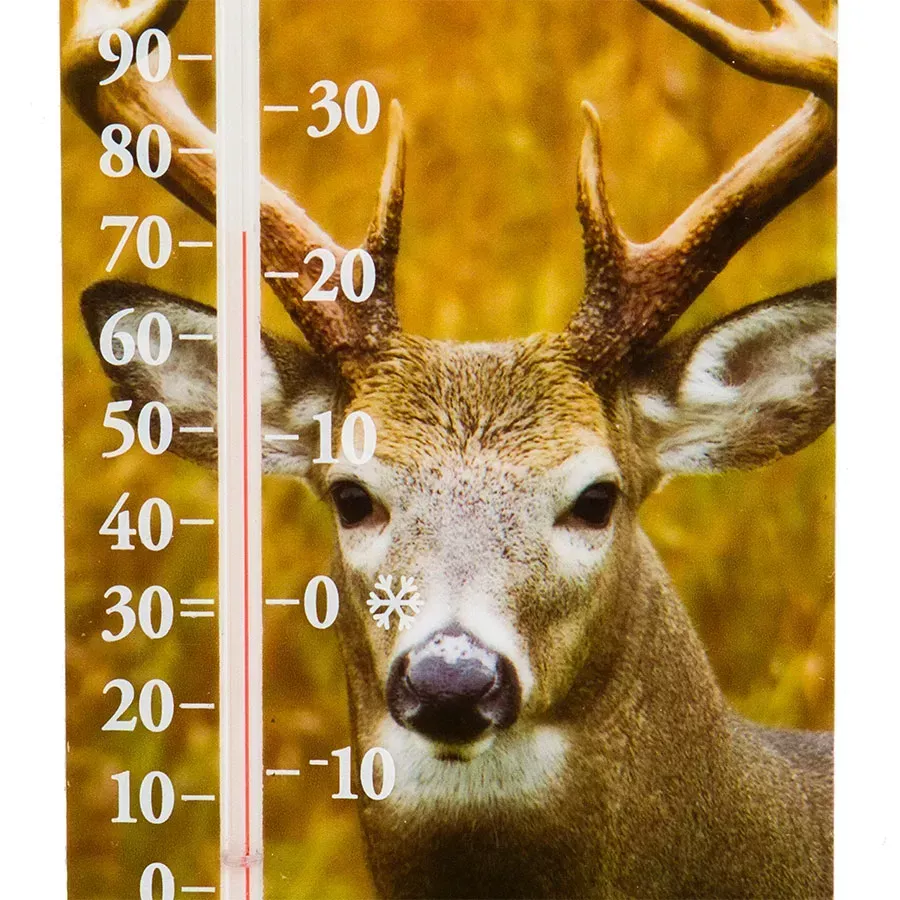 EZ Read Thermometer