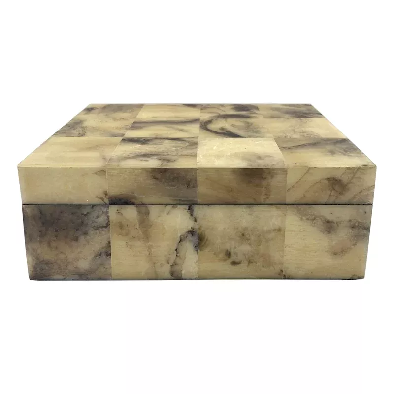 Faux Horn Box, 8x6