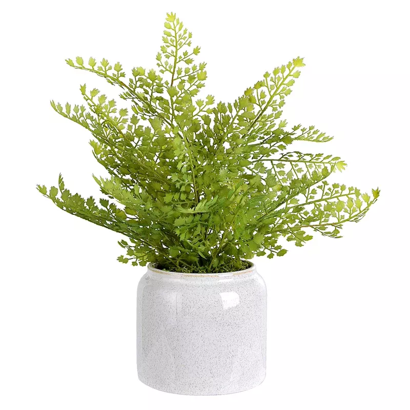 Fern Arrangement in Ceramic Pot, 15"
