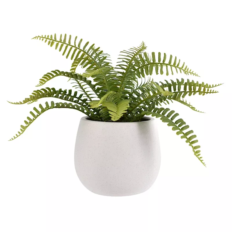 Fern Arrangement in White Ceramic Pot, 12"