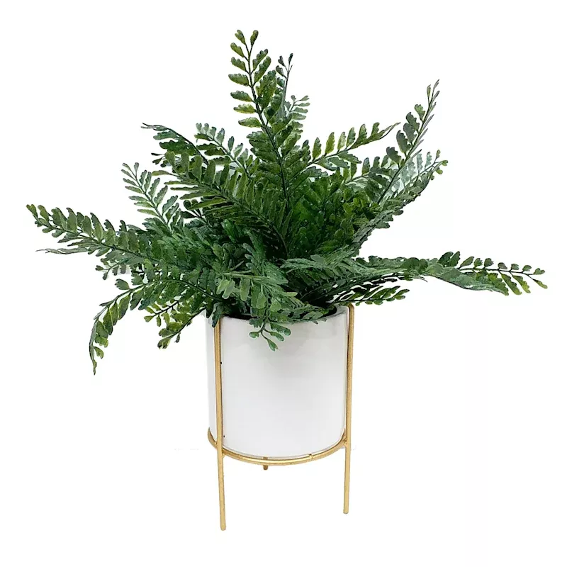 Fern in White Pot, 14"