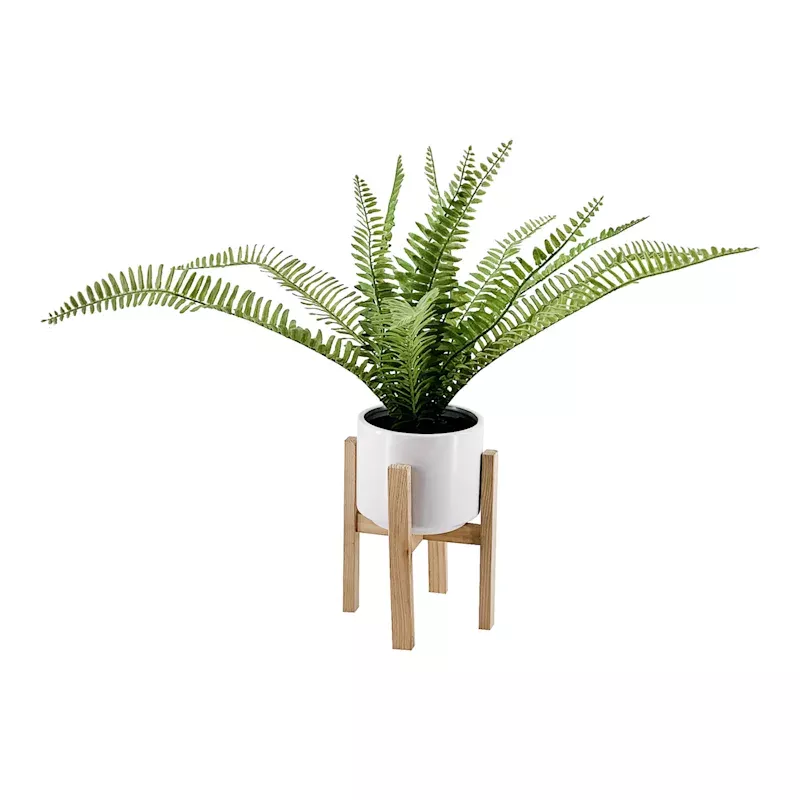 Fern in White Pot with Stand, 18"