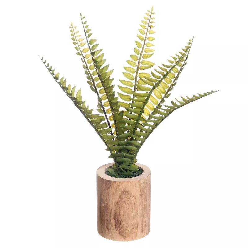 Fern in Wooden Pot, 10"