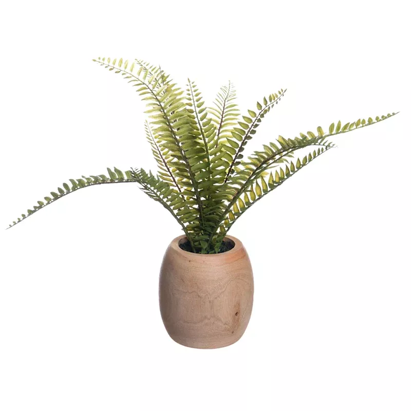 Fern Plant in Wood Pot, 12"