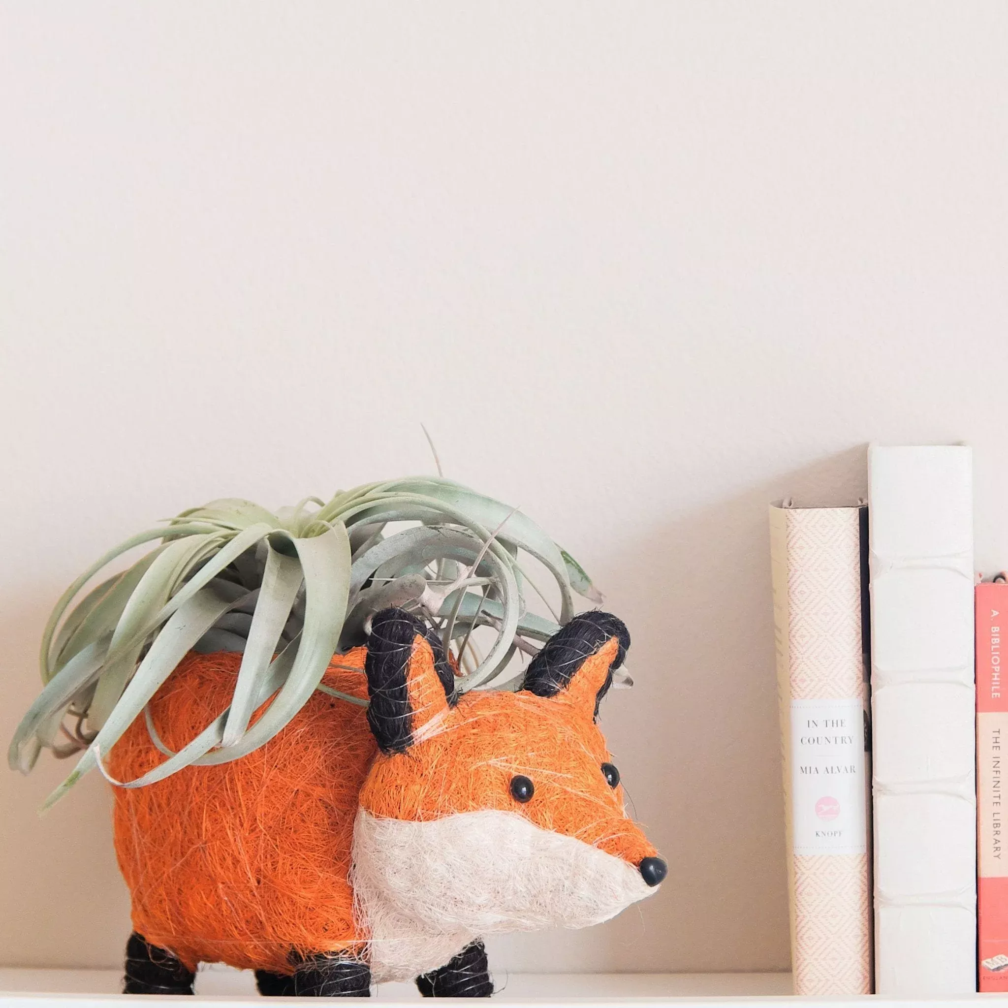 Fox Planter - Coir Planters | LIKHÂ