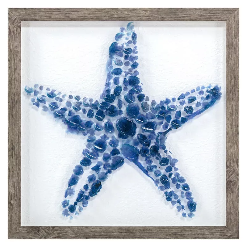 Framed Blue Starfish Textured Canvas Wall Art, 13"