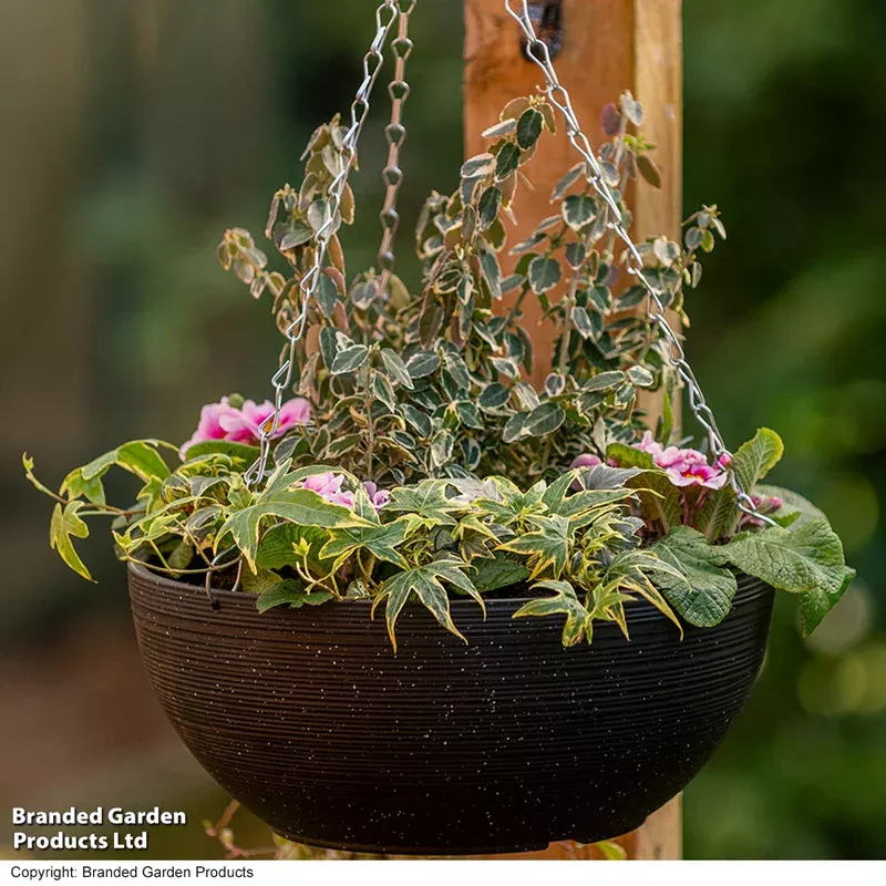 Garden_Gear Stone Effect 35cm Hanging Basket Black With Spot