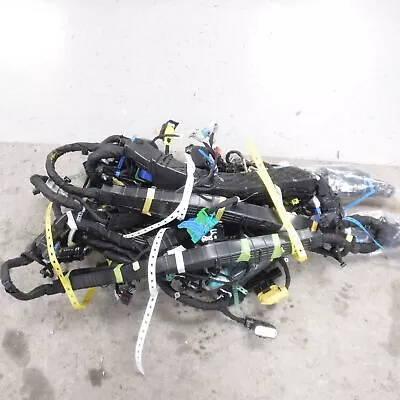 Genuine OEM GM F Harness Wiring 84876309