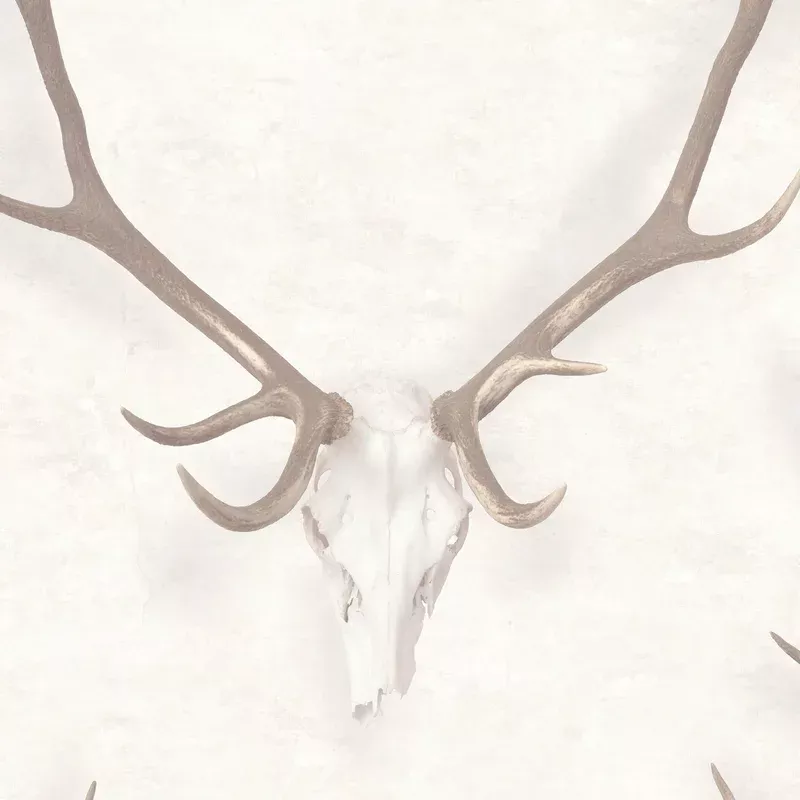 George The Stag – No Flower Crown Wallpaper