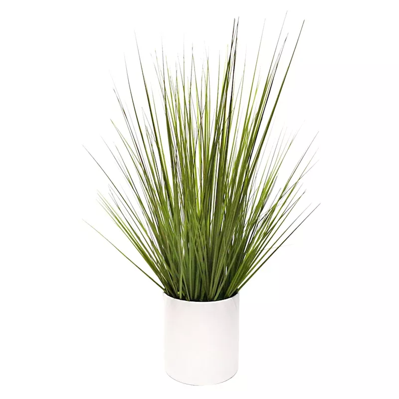 Grass Plant with White Planter, 20"