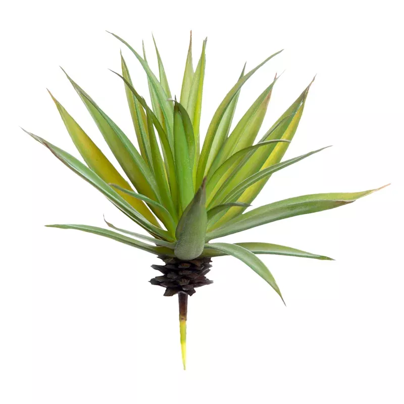 Green Aloe Plant Pick, 7"