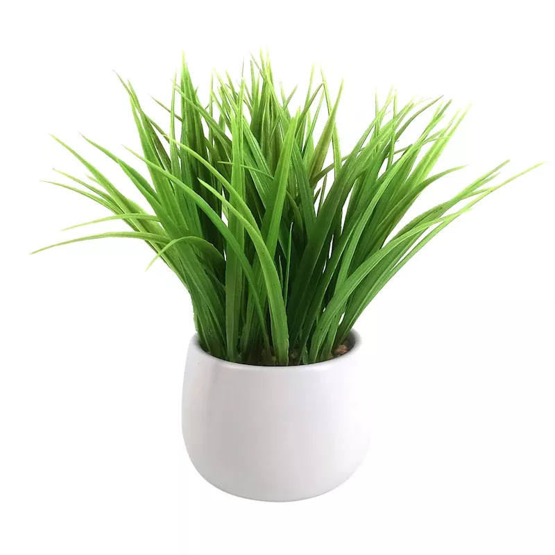 Green Grass Bundle with Ceramic Planter, 10"
