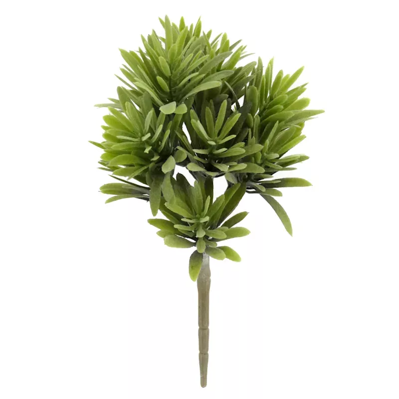 Green Jade Plant Stem, 9.5"