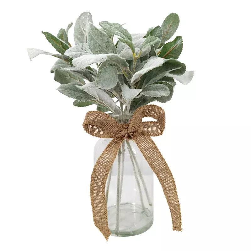 Green Lambs Ear Plant with Glass Vase, 14"