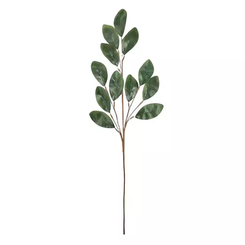 Green Magnolia Leaves Stem, 34"