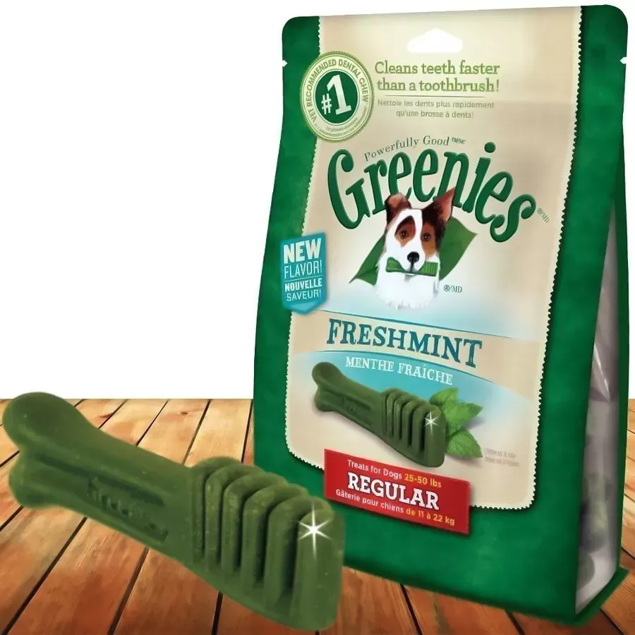 Greenies Freshmint Dental Treat for Dogs - 12 oz - Regular