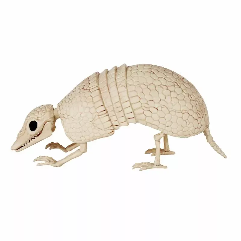 Halloween Armadillo Skeleton, 12.5x6