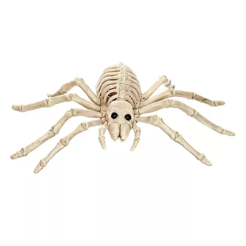 Halloween Spider Skeleton, 9"