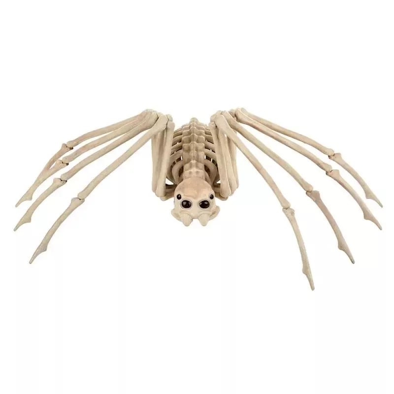 Halloween Spider Skeleton, Medium
