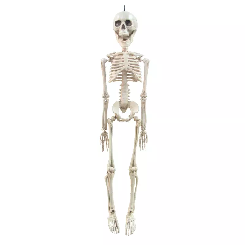Hanging Halloween Skeleton, 20"