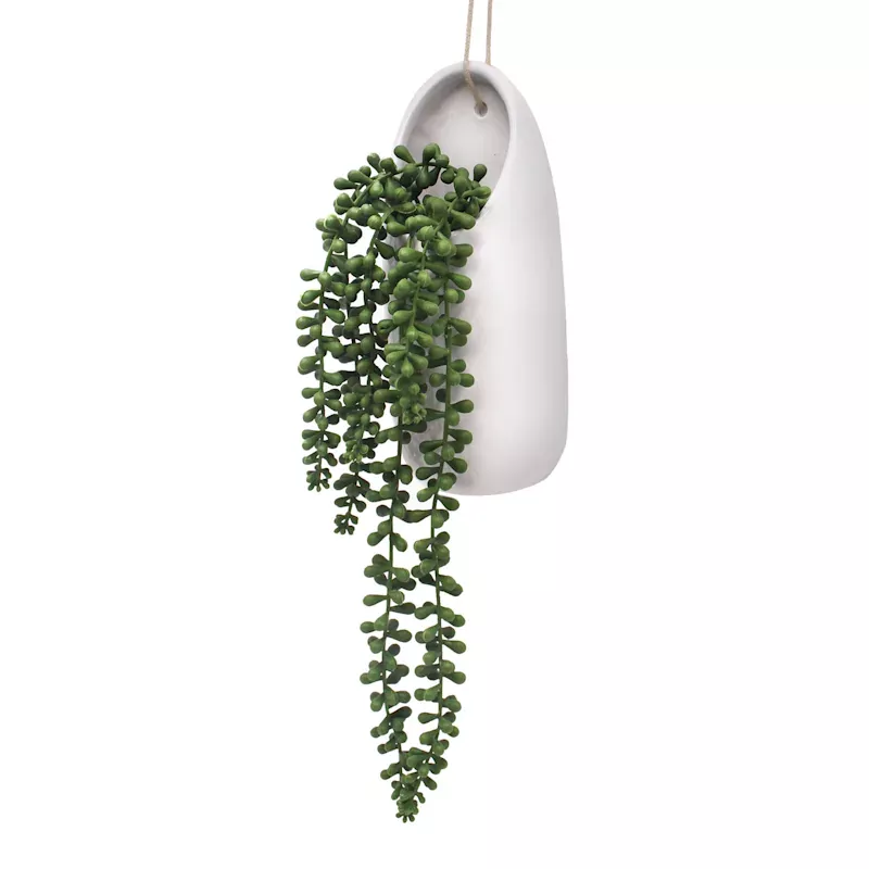 Hanging Succulent in Ceramic Pot, 19"