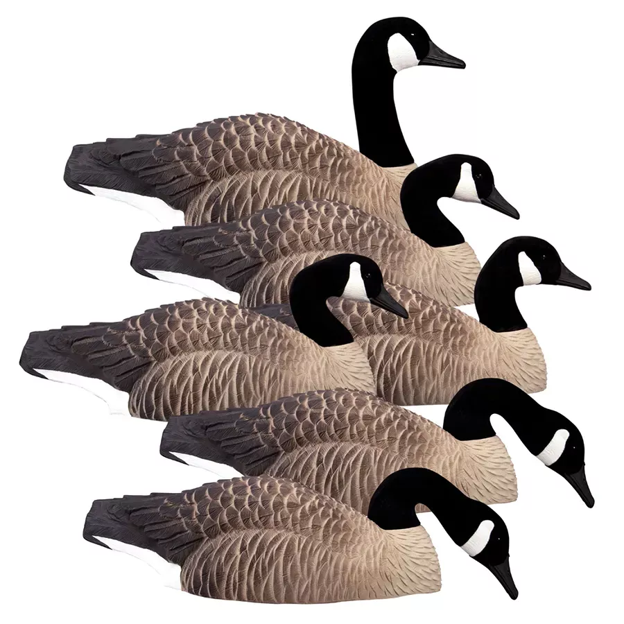 Higdon Outdoors Canada Goose Magnum Half Shelf - 6 pk