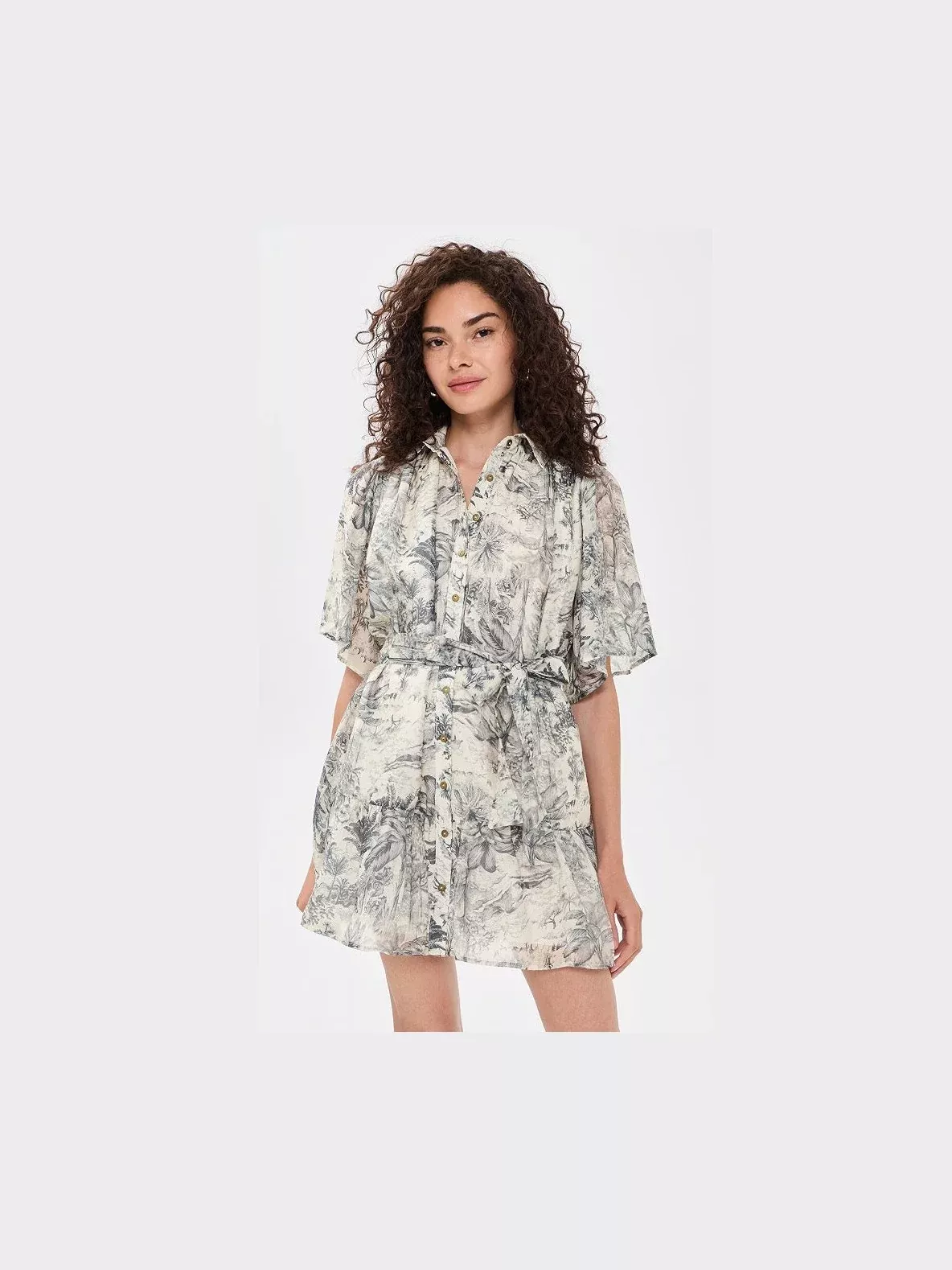 Holley Toile Mini Dress