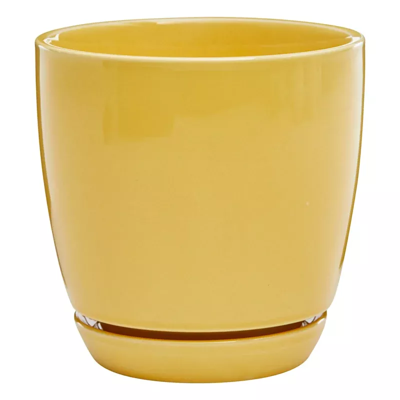 Indoor Elsie Yellow Stoneware Ceramic Pot, Small