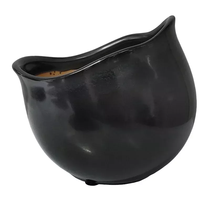 Indoor Lotus Black Planter, 6.9"