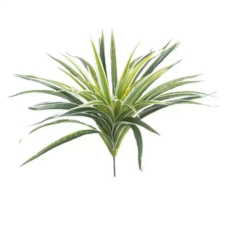 Indoor & Outdoor Spider Bush, 19"