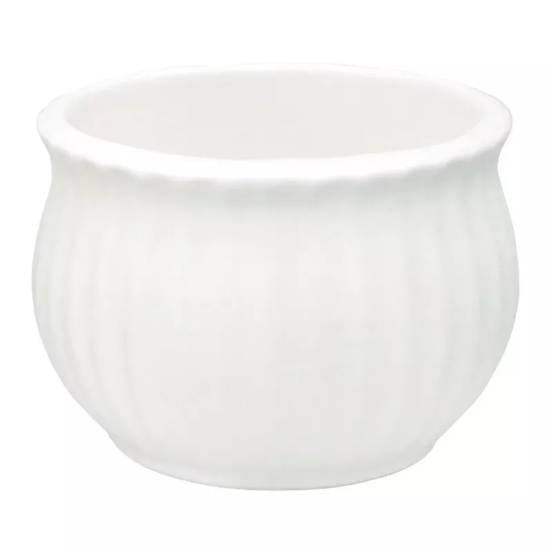 Indoor White Cabbage Ceramic Pot, Small