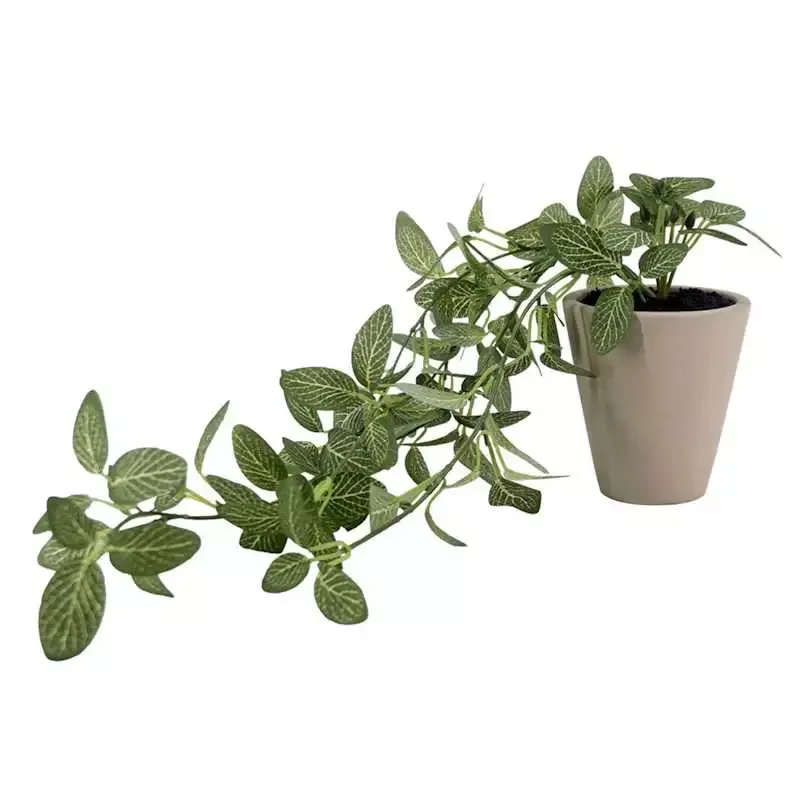 Ivy in Cement Pot, 13.8"