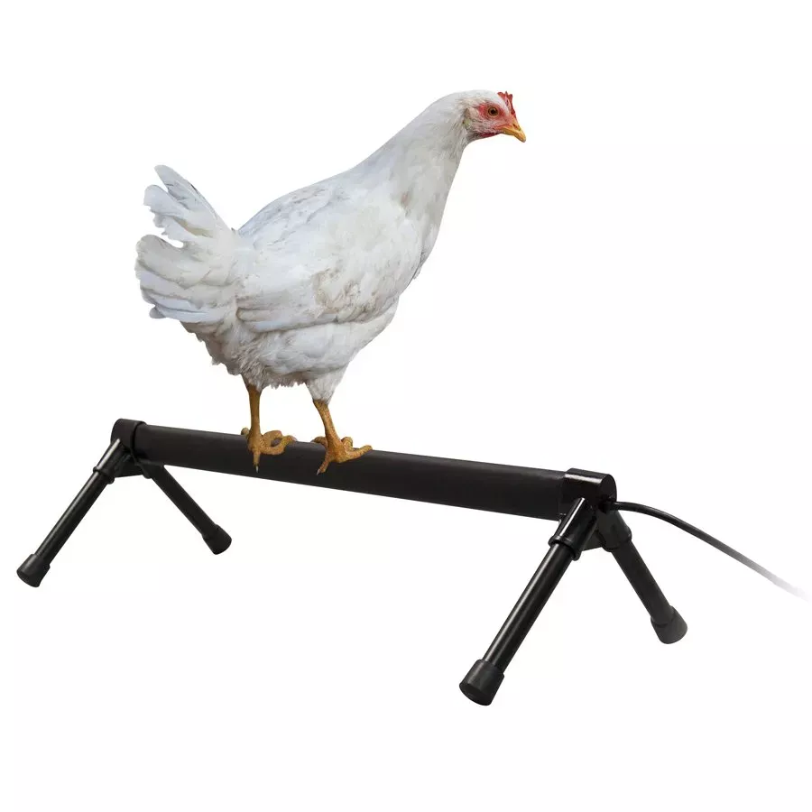 K&H Thermo-Chicken Perch - 36" - 55w