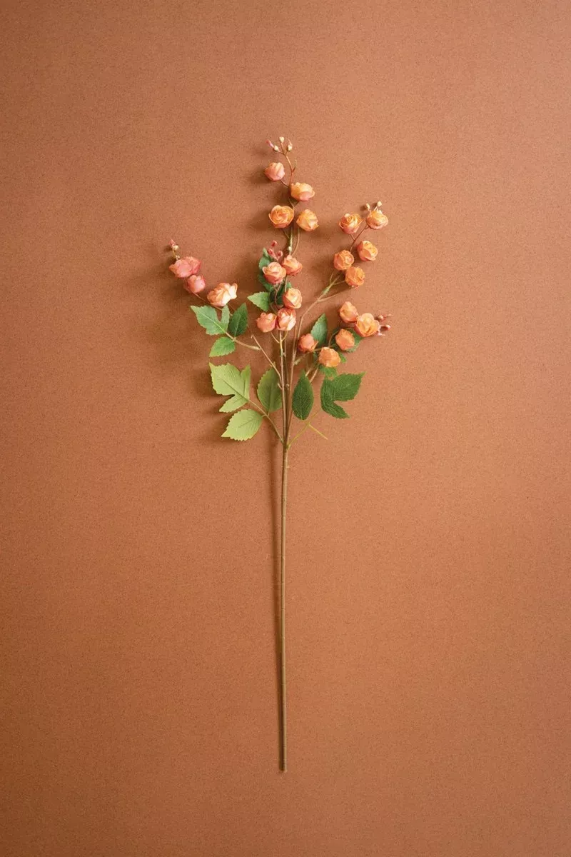 Kalalou - Orange Berry Floral Stem