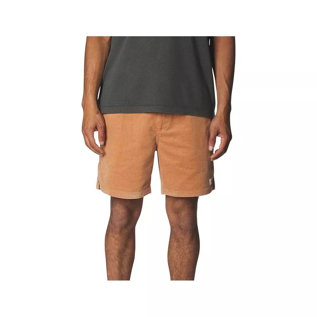 Katin Men's Cord Local Shorts