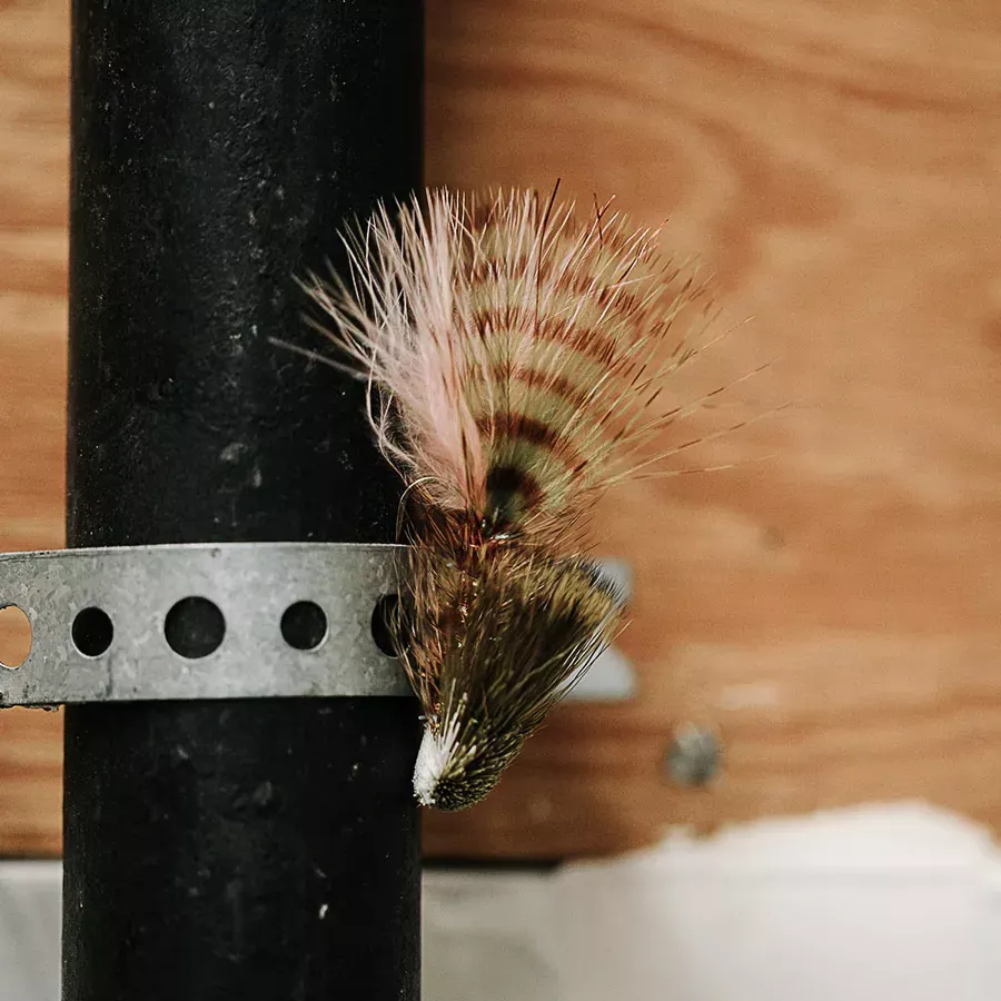 Kelly Galloup's Cactus Wooly Sculpin