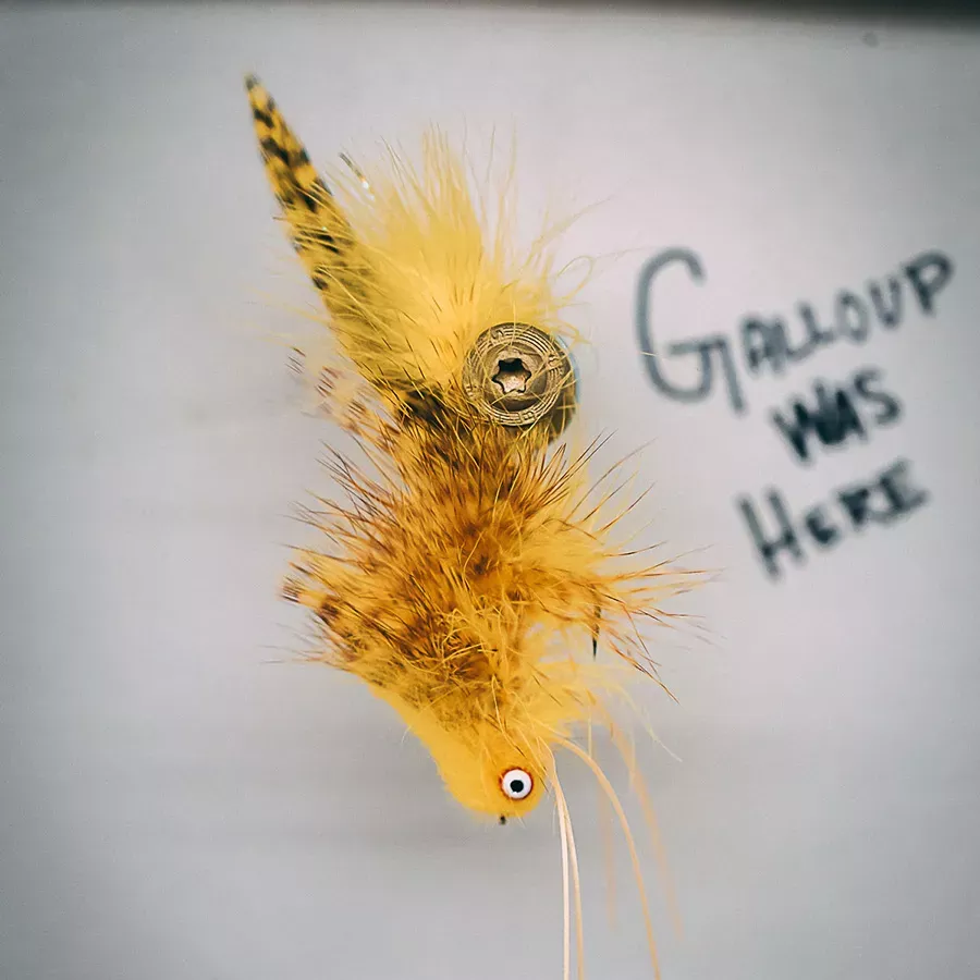 Kelly Galloup's Silk Kitty
