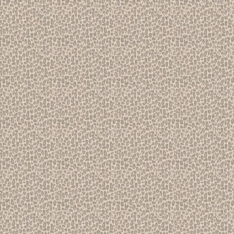 Kitten Oyster Wallpaper