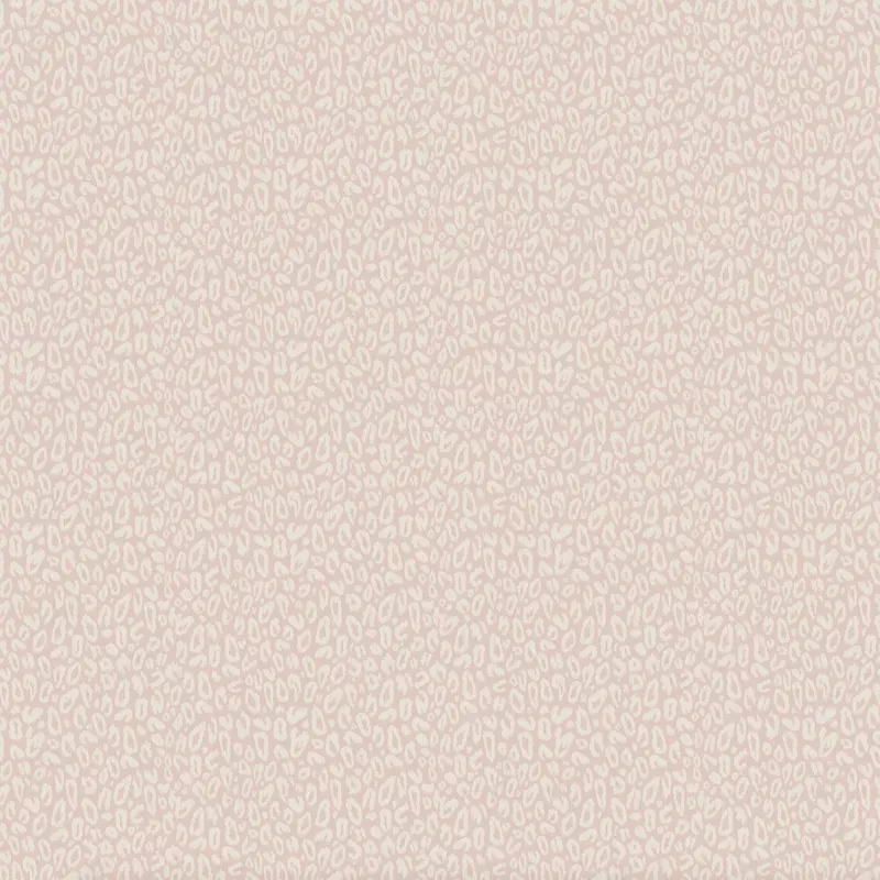 Kitten Powder Pink Wallpaper
