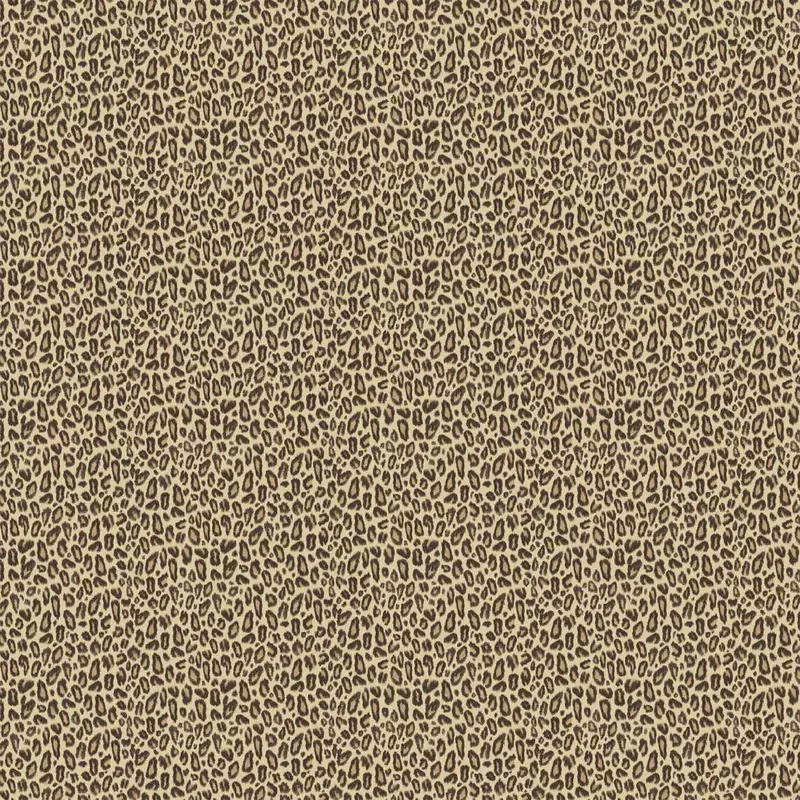 Kitten Tawny Wallpaper