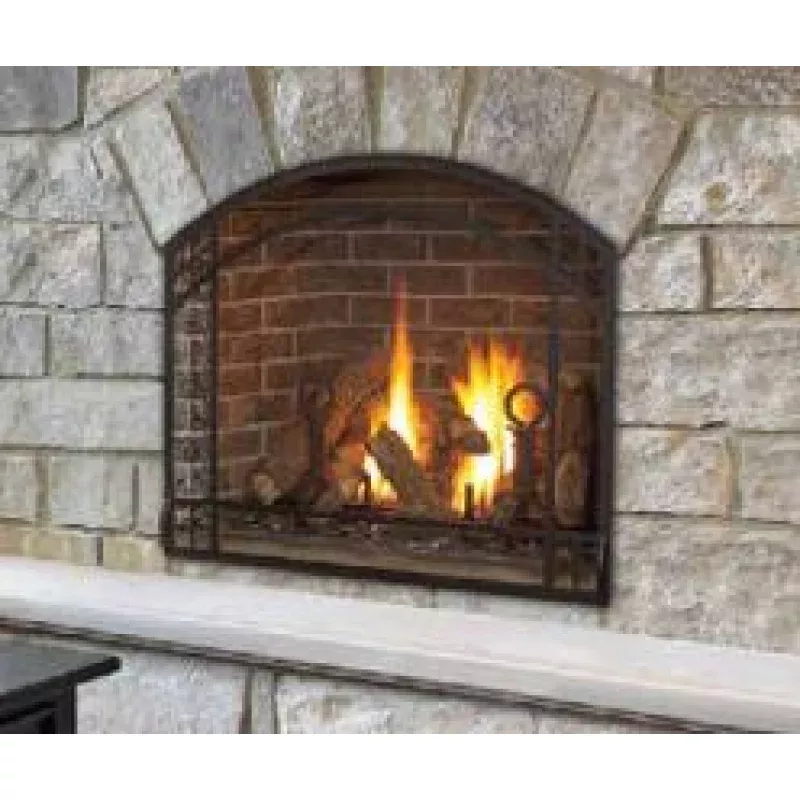Kozy Heat Alpha Direct Vent FIreplace Arched Mission Design Screen Front AL36A-MSFS