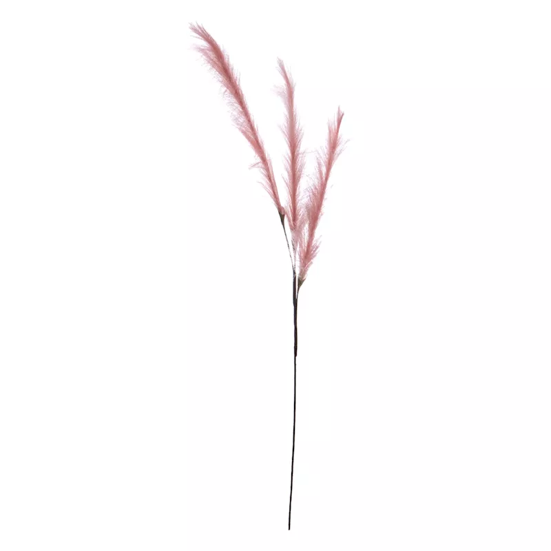 Light Pink Pampas Grass Spray, 48"
