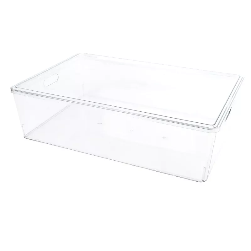 Lisse Clear Bin with Lid, 24L