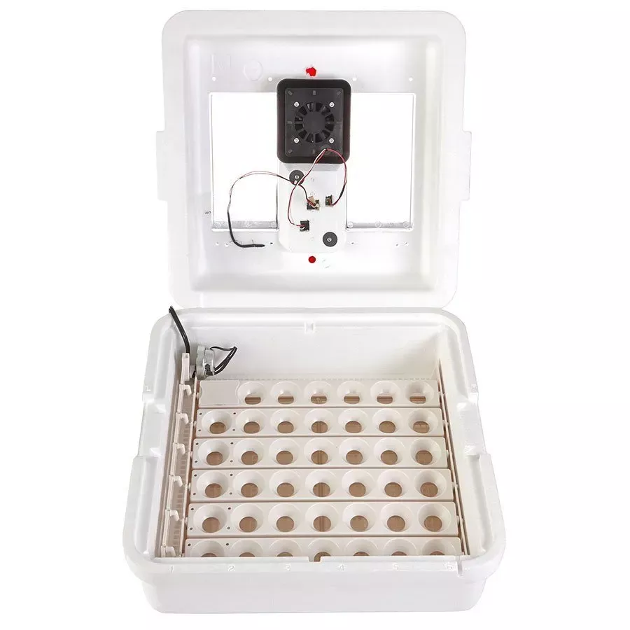 Little Giant Deluxe Incubator with Egg Turner