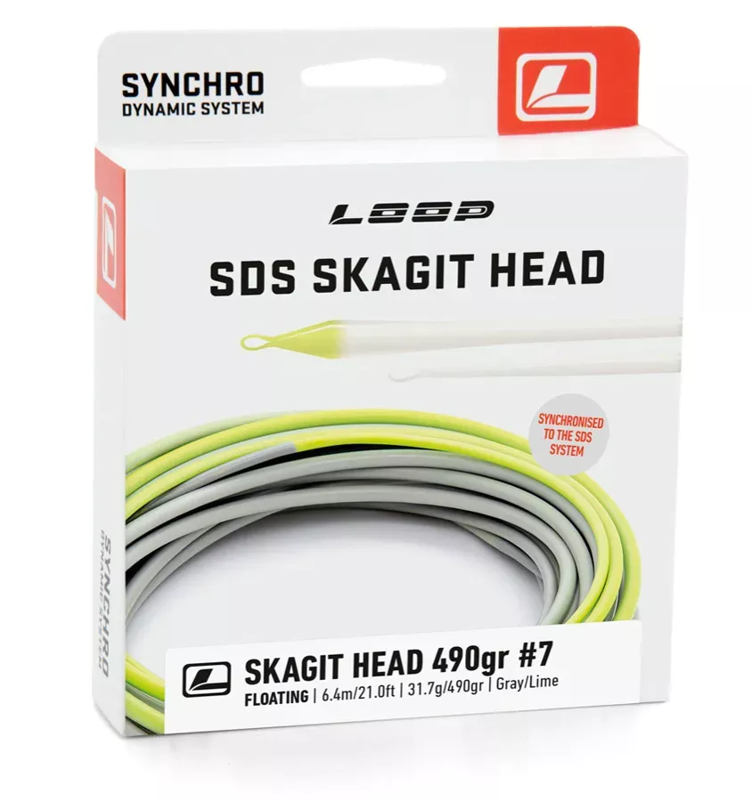 Loop Synchro Skagit Head