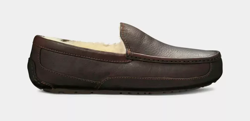 Men's Ascot Slipper