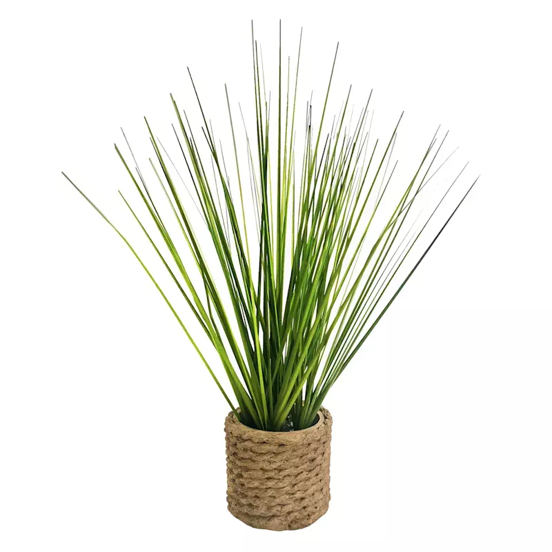 Mini Grass Plant with Planter, 11"