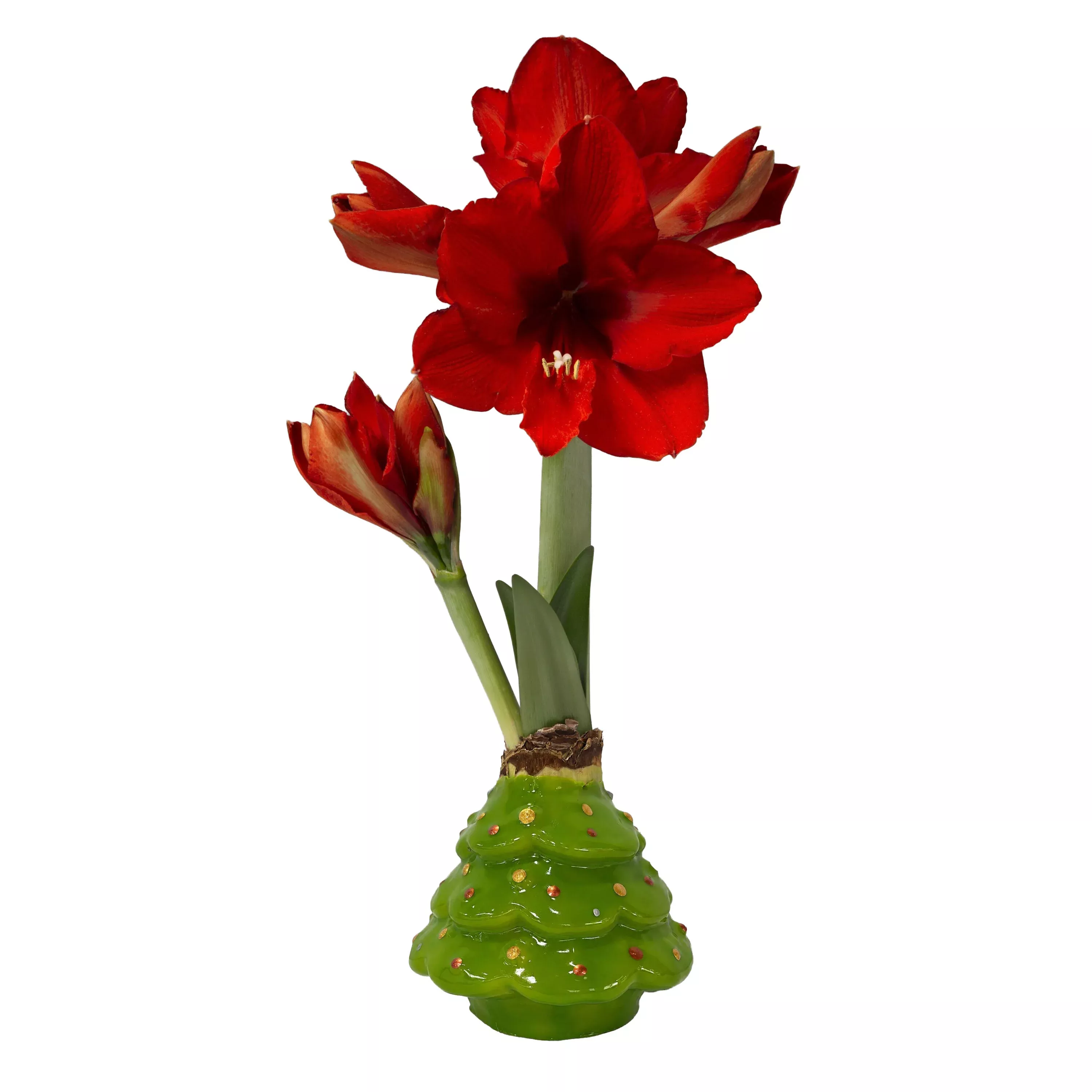 Molded Christmas Tree Waxed Garden Bulb