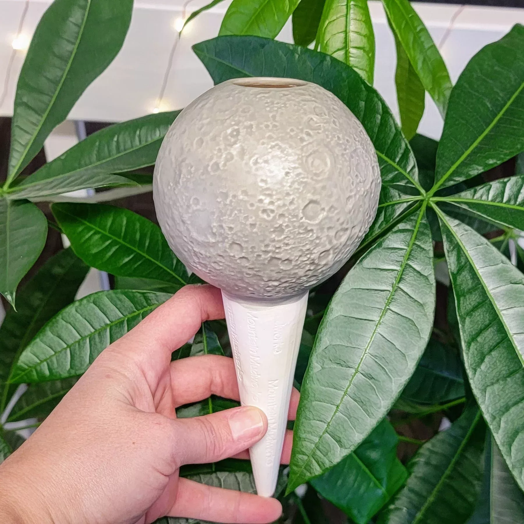 Moon Plant Watering Spike